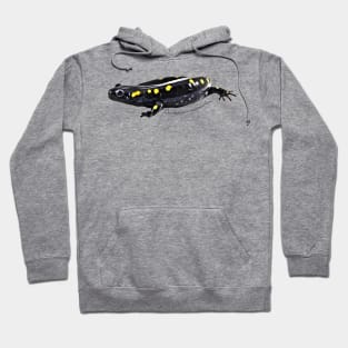 Spotted salamander art with scientific name Hoodie